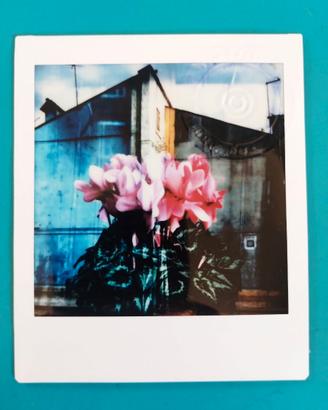 Polaroid by Maurizio Galimberti