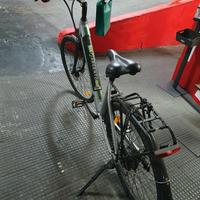 Bicicletta a pedalata assistita 