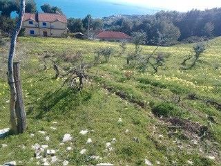 Terreno in Località secolare, 20 - Vista 3