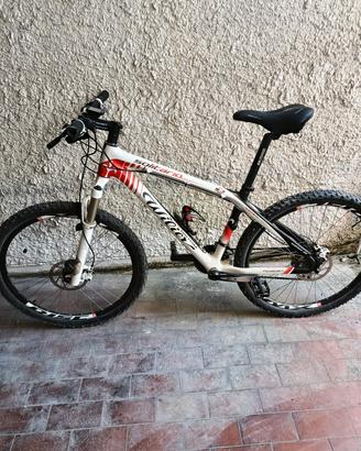mtb wilier carbon