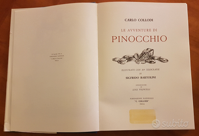 Pinocchio,le avventure