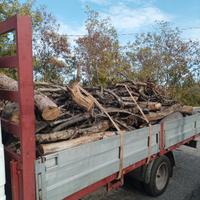 legna da ardere olivo