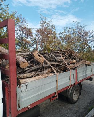 legna da ardere olivo