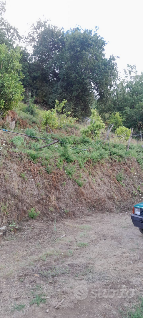 Terreno agricolo - View 5