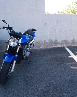 honda hornet 900