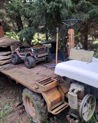 Rimorchio agricolo motorizzato Intermotor