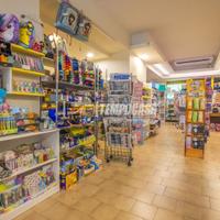 Cartoleria - Libreria a Macerata Via Roma 1 locali