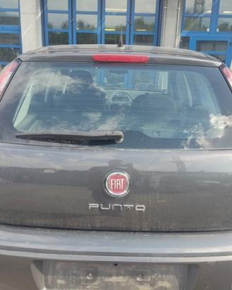Portellone nudo FIAT GRANDE PUNTO EVO del 2010