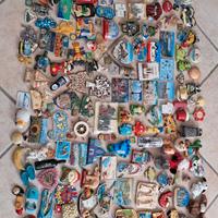 Calamite da tutto il mondo