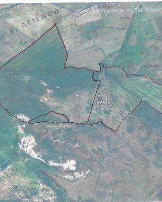 Azienda agricola