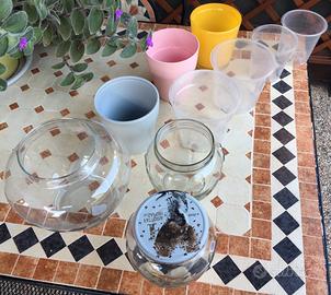 Lotto vasi per orchidee e vasi per terrari