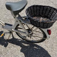 Solex conservato bianco