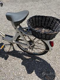 Solex conservato bianco