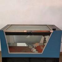 Gioco ragno acchiappa premi