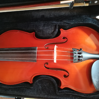 Violino gewa set allegro