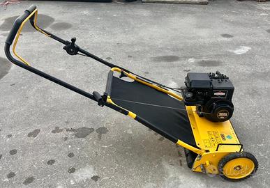 Rasaerba Ginge Concord Park 461