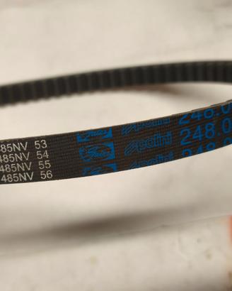 248.003 CINGHIA DI TRASMISSIONE VARIATORE POLINI