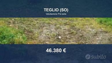 Immobile in asta di 4292 m² a Teglio