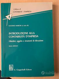 Introduzione alla contabilita d’impresa