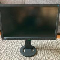 Monitor professionale EIZO Flexscan EV2333W