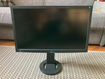 Monitor professionale EIZO Flexscan EV2333W