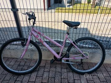 coppia biciclette da ragazzi