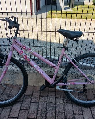 coppia biciclette da ragazzi