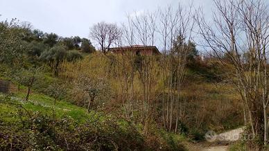 Villetta unifamiliare