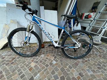 MTB cannodale in carbonio