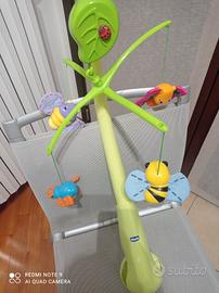 rialzo,tappeto ,palestrina 