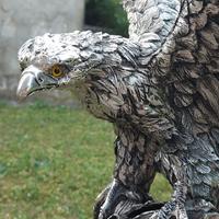Aquila 