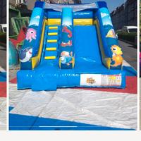 scivolo gonfiabile professionale più motore