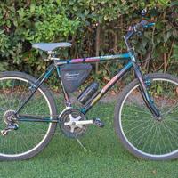 Mountain bike