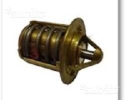 Termostato Am6 / minarelli 50