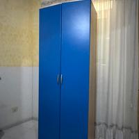 Armadio due Ante blu intenso e Legno chiaro