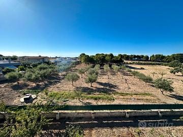 terreno agricolo