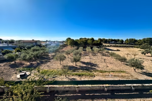terreno agricolo