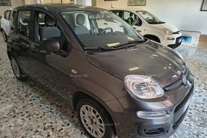 Fiat Panda 1.2 easypower Gpl 69cv