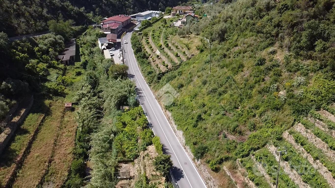 TER. AGRICOLO A SOLDANO - Vista 3