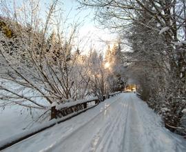 Vacanze di Natale in Trentino