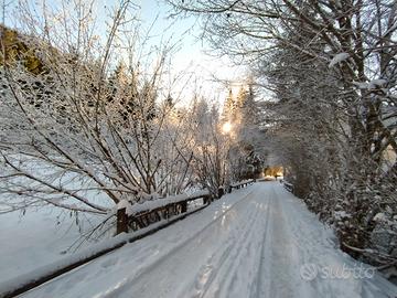 Vacanze di Natale in Trentino