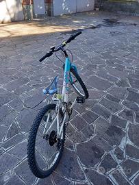 MTB raggio 24