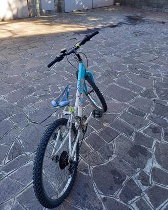 MTB raggio 24