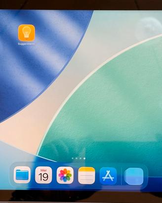 Apple Ipad 10 generazione