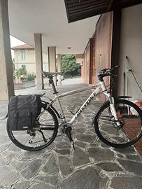 MTB cannondale