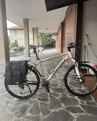 MTB cannondale