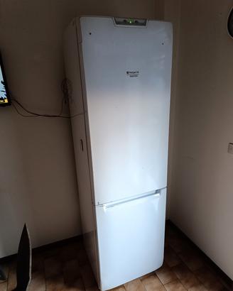 frigo