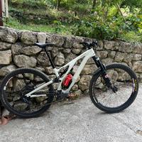 Specialized evo expert carbon 2024