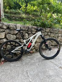 Specialized evo expert carbon 2024