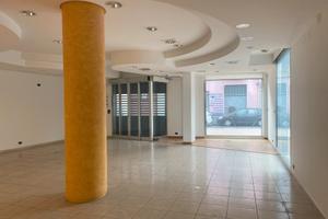 3Luci Locale Commerciale Via DelBosco/DueObelischi